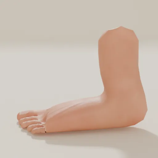 素足のレンダを横から見た画像